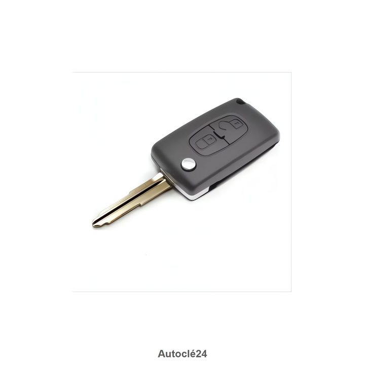 Clé Compatible Peugeot 4007 de 2007 à 2012
